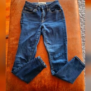 Gap Curvy True Skinny Jeans